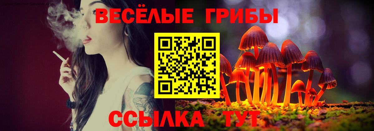 Псилоцибиновые грибы мицелий  Псилоцибиновые грибы прущие грибы  Вход с VPN  Баксан 