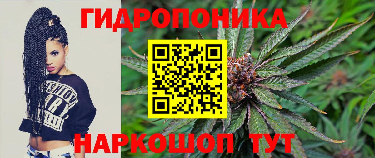Шишки марихуана сатива  Конопля ГИДРОПОН  Вход с VPN  Марихуана SATIVA & INDICA  Баксан  Бошки марихуана SATIVA & INDICA 
